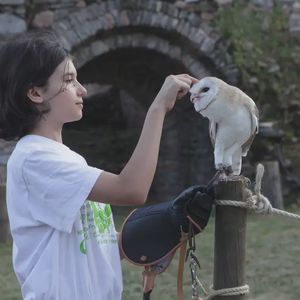 Passeggiata con i rapaci vicino Varese