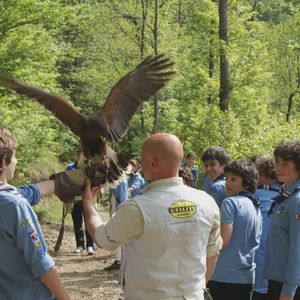 Falconiere per un giorno vicino Torino