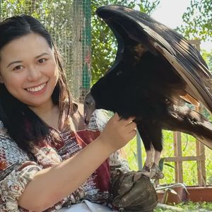 Incontro con rapaci Vicino a  Vicenza