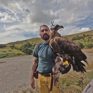 Incontro con i rapaci in provincia di Siena