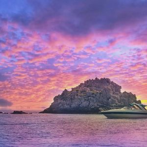 Tour in barca al tramonto con avvistamento delfini