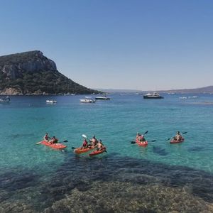 Tour in kayak con avvistamento delfini e aperitivo