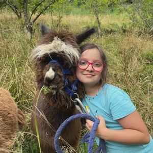 Passeggiata con alpaca privata vicino a Genova