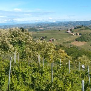 Mangiare in Piemonte con i bambini per famiglie