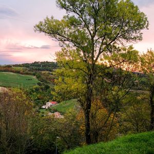 Marche con i bambini per famiglie