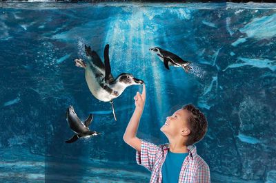 Offerta Acquario di Cattolica