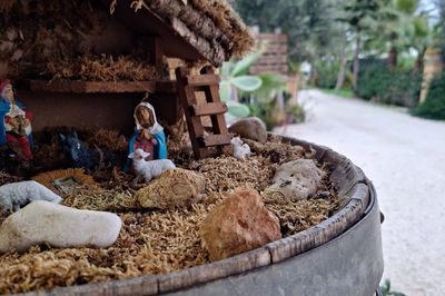 Offerta Lilybeo Village Camping- Residence