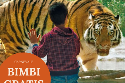 Offerta Hotel La Meridiana