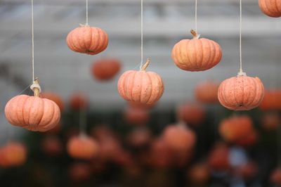 Offerta HALLOWEEN STREGATO – Uno sconto da brivido