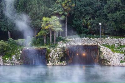 Offerta Villa dei Cedri