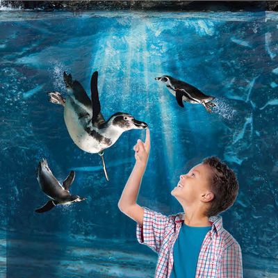 Offerta Biglietti scontati Acquario di Cattolica