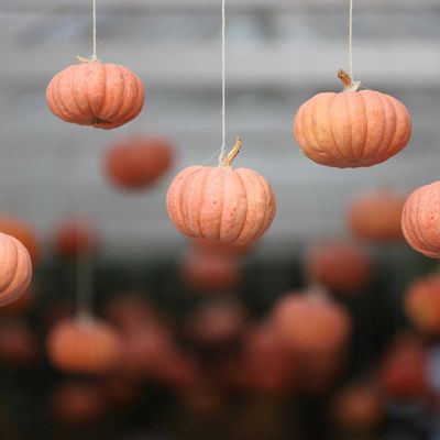 Offerta HALLOWEEN STREGATO – Uno sconto da brivido