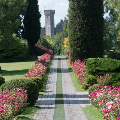 Offerta Biglietto online al parco Sigurtà
