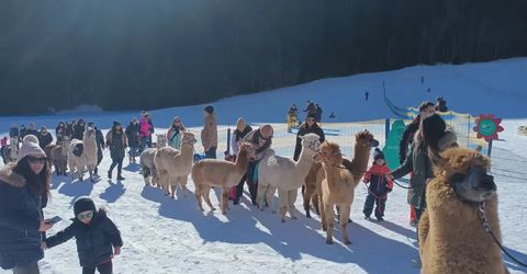 Avventure sulla neve con i bambini 