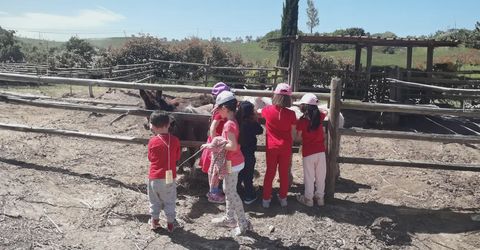 Esperienza in fattoria didattica