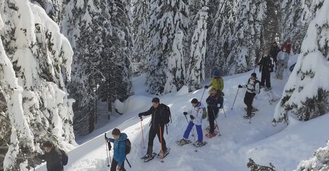 Ciaspolata in Lessinia