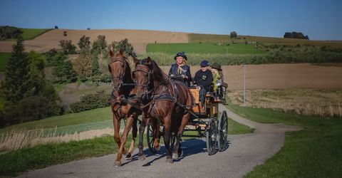 Giro in carrozza e aperitivo