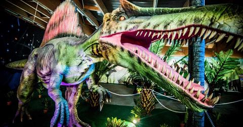 Parchi con dinosauri