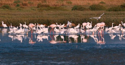  Oasi WWF con i bambini