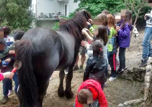 Osteria della Bastia 