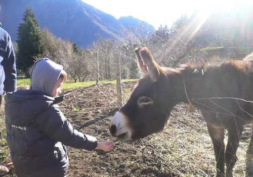 Agriturismo Bianconiglio