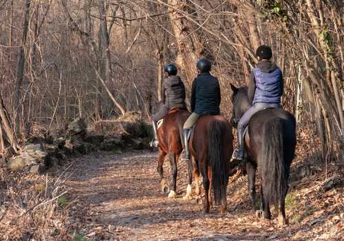 Passeggiata a cavallo
