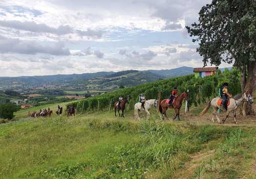 Passeggiata a cavallo nelle Langhe