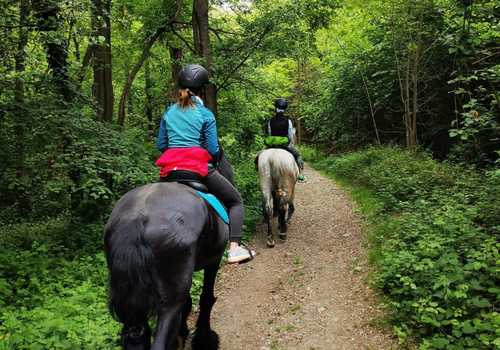 Passeggiata a cavallo ad Ivrea