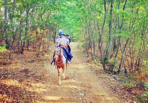 Passeggiata a cavallo nei boschi