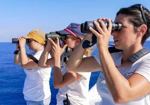Crociera di osservazione dei cetacei 