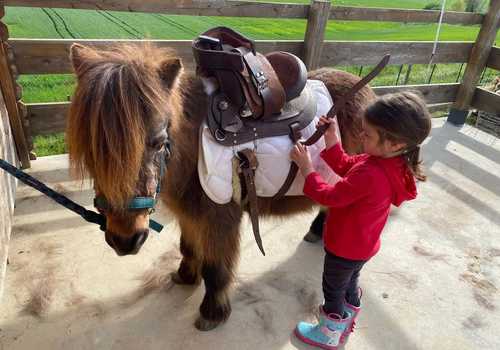 Passeggiata sul pony per bambini