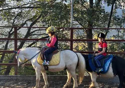 Passeggiata sul pony per bambini a Sant'Ilario