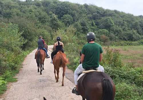 Passeggiata a cavallo a Palestrina