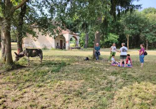 Passeggiata con asinello vicino a Santhià