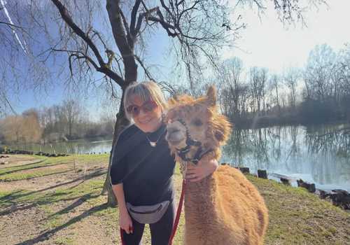 Passeggiata con alpaca vicino a Milano