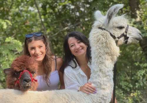 Passeggiata con alpaca e lama
