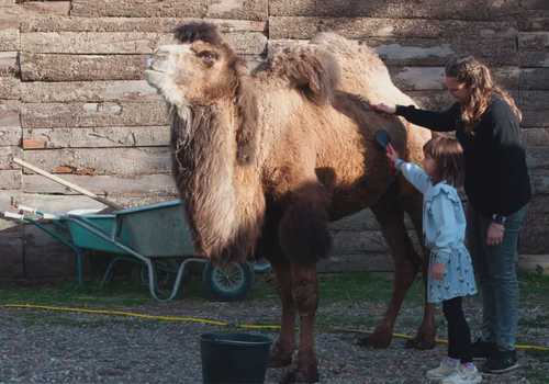 Giornata da Robin Hood