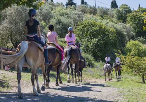 Passeggiata a cavallo con picnic
