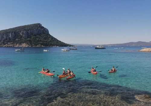 Tour in kayak con avvistamento delfini e aperitivo