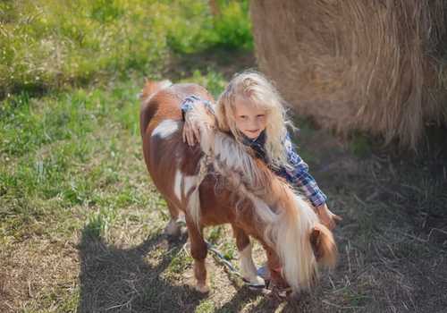 Esperienza con pony vicino a Sanremo per famiglie