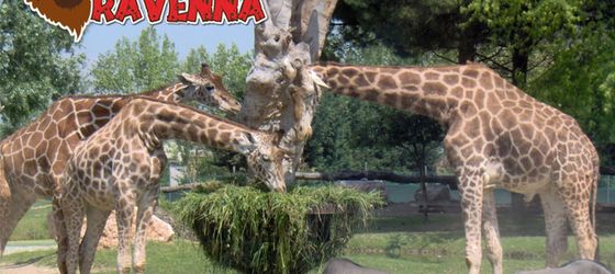 Zoo Safari Ravenna