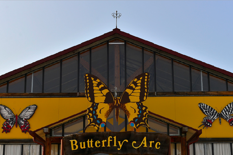 Butterfly Arc - Casa delle Farfalle e Bosco delle Fate