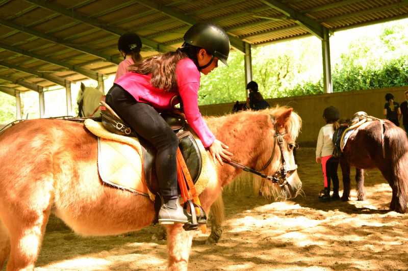 Lezione di equitazione su pony per bambini