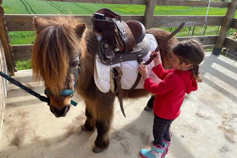 Passeggiata sul pony per bambini