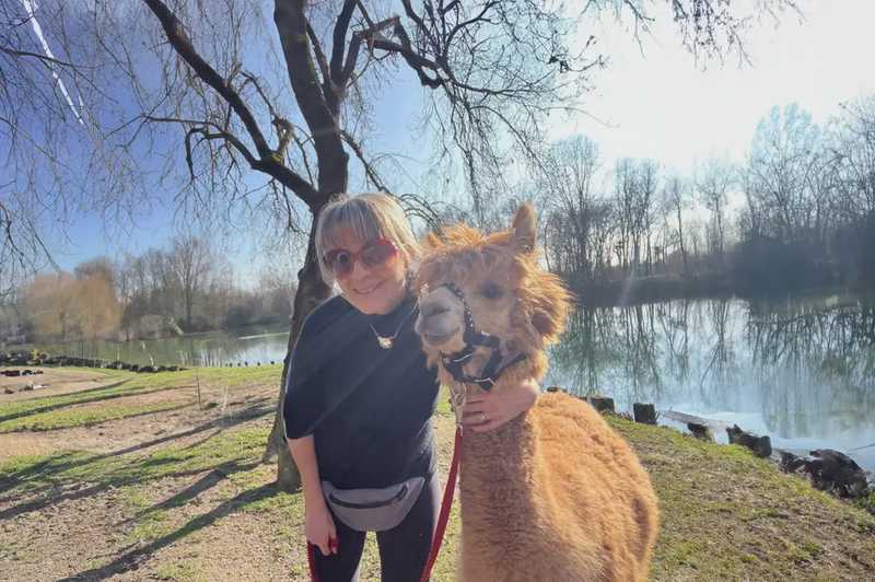 Passeggiata con alpaca vicino a Milano