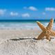 Mare