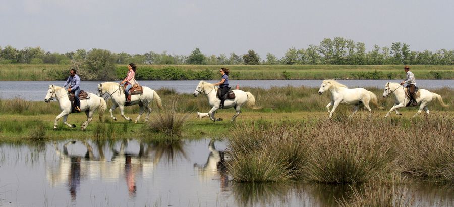 Villaggio in Romagna con Maneggio