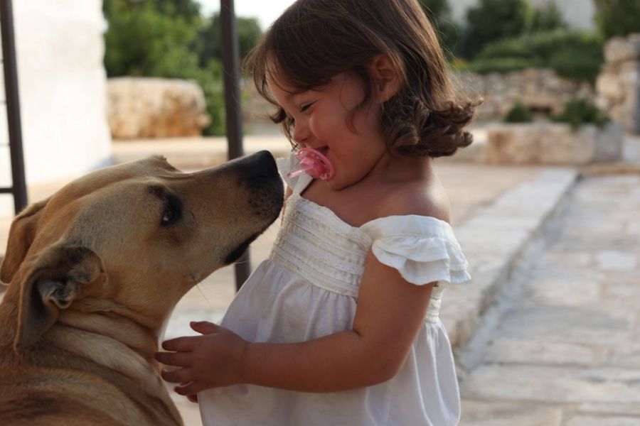 Villaggio turistico pet-friendly