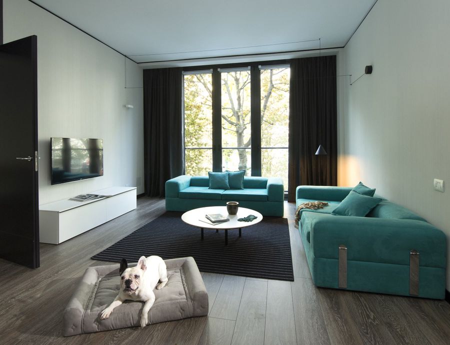 Hotel pet friendly a Torino