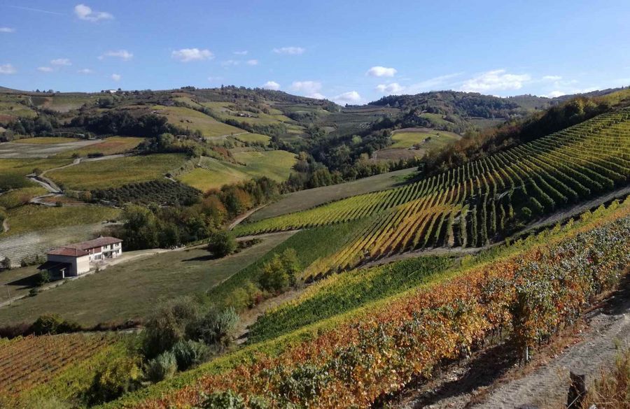 Bed and Breakfast Mario & Mario nelle Langhe per famiglie